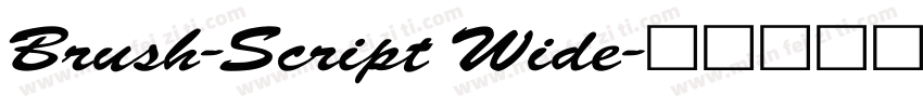 Brush-Script Wide字体转换
